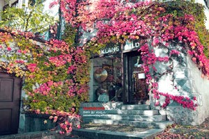 亚洲球队突破历史记录跻身前四