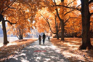 巴黎圣日耳曼锋线犀利，多场胜利进一步巩固领先